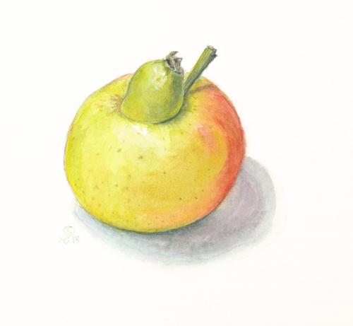 Aquarell,
8,5 x 8,5 cm