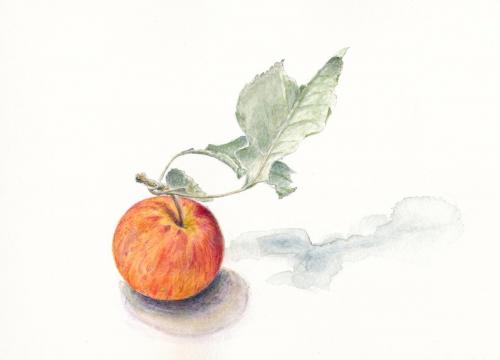 Aquarell, Farbstift,
13 x 11 cm