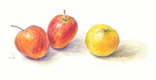 Aquarell, Farbstift,
17 x 7 cm