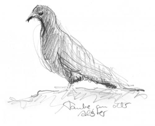 Bleistift,
8,5 x 7 cm